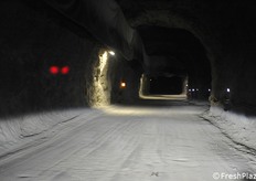 Apfellagerung in 300 Metern Tiefe in einer alten Miene: Das Melinda Konsortium investierte vor sechs Jahren in die Struktur und baut mit dem Umweltschutz und Energieeinsparung als Ziel nun die vierte Lagerparzelle. Eine Investition von gut 7 Millionen Euro für eine Kapazität von bis zu 40.000 Tonnen. Beginnen Sie mit uns die Reise ins Herz des Berges, in Val di Non. (Fotoreportage von Cristiano Riciputi)