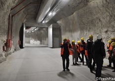 Die Umgebung ist trocken und nicht staubig.