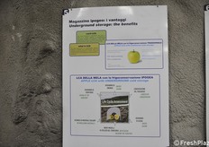 Details auf den Erklärungstafeln.