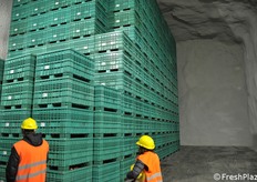 Der Abbau der Früchte geht stetig voran.