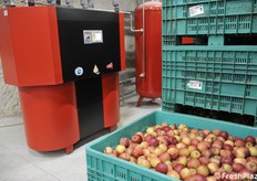 Behälter außerhalb der Parzellen und bereit für die Weiterverarbeitung in einer Fabrik.