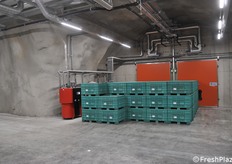 Behälter außerhalb der Parzellen und bereit für die Weiterverarbeitung in einer Fabrik.