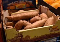 Süßkartoffeln erfreuen sich ebenfalls steigender Beliebtheit.