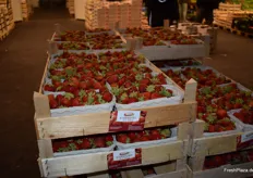 Die Erzeugergroßmarkt Langförden-Oldenburg e.G. (ELO) ist eine wachsende Genossenschaft aus dem naheliegenden Oldenburger Land. Zu den umsatzstärksten Produkten des Unternehmens gehören seit jeher die Erdbeeren. 