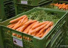 Karotten von Neber-Gemüse