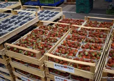 Erdbeeren aus dem Hause Sonnenland Schmid KG
