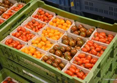 Tomatenvariationen von Fischer Gemüse