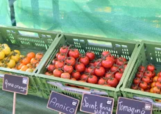 Beliebte Tomatensorten von Enza Zaden.