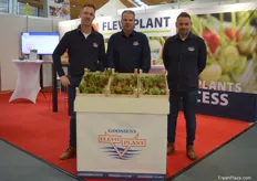 Erik Dekker, Anton Koops und Arnold Kortekaas von FlexoPlant präsentierten u.a. die neue, remontierende Sorte Florice, die ab 2025 erste marktrelevante Erträge tragen wird.