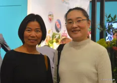 Sophie Ye und Min Li vom belgischen Ingwerimporteur KX Food
