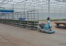 Automatisierung 2.0: mit Beetpflanzen beladenen und vollautomatischen Schubkarren.