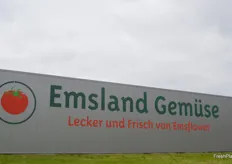Emsland Gemüse ist Teil des Emsflower-Konzerns der niederländischen Familie Kuipers. Die Unternehmensgruppe zählt zu den größten Firmen in der Umgebung und beschäftigt zu Spitzenzeiten bis zu 400 Mitarbeiter in der Produktion.