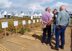 Fachleute begutachten das Sortenspektrum der Solana Deutschland GmbH.