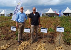 Johan van der Stee und Erik Oggel von Meijer Potato