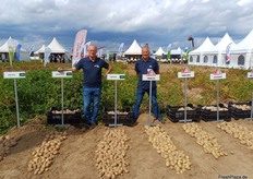 Adrie Omtzigt und Pieter Goldhoorn von Agrico. In Deutschland schneiden u. a. die beiden Speisesorten Thalia und Twister sehr gut ab.