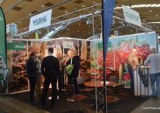 Reges Interesse am Stand von Wuxal/Manna