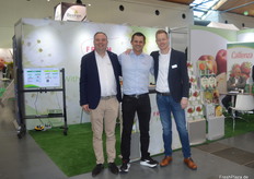 Fresh Forward ist ein international agierendes Züchtungsunternehmen und die treibende Kraft hinter den erfolgreichen Sorteninnovationen Cadenza und Ravellia. Im Bild: Stephan Geerlings, Erzeuger und langjähriger Partner Jörg Huber und Ruud Venner.