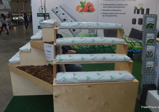 Kokussubstrate sind im Gewächshausanbau mittlerweile gang und gäbe.