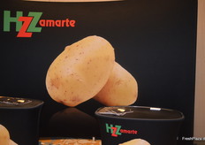 Das polnische Kartoffelzüchtungsunternehmen HZ Zamarte zählt seit wenigen Jahren ebenfalls zu den festen Sponsoren.