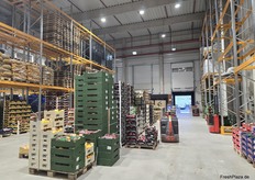 Blick auf die Verkaufsfläche der Früchte Adam GmbH, eines der Mitinitiatoren des neuen Frischezentrums.