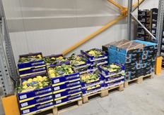 Amalfi-Zitronen sowie Datteln im Kühlhaus der Zündorf & Zerres GmbH.