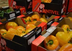 Especially in demand are Montivel peppers in all different kind of colours from Spain.