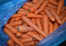 ... old carrots ...