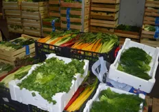 The wholesaler is mainly specialized on vegetables ...