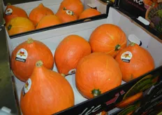 Wilhelm Marleaux sells fruit and vegetables. For example, red kuri squash from France.