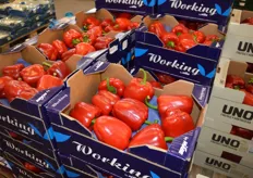 Hans Becker is suppling the quality-oriented food retail. Among his top sellers are peppers of the brand Working, ...