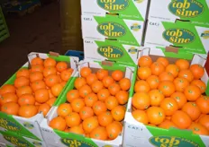 ... Spanish oranges of the the brand Tobsine ...