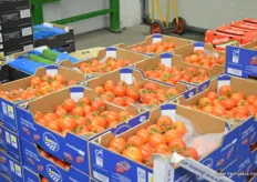 "The company gets its products from Germany, Spain, Italy and Holland. For example, "Bonny" tomatoes from Spain."