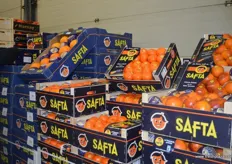 "... and the citrus brand "Safta"."