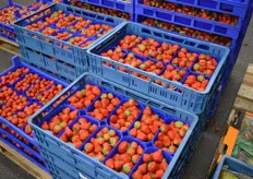 The product range depends on the needs of its customers. From A like Apple to Z as Zucchini - the wholesaler wants to satisfy his costumers with his fresh products from local growers.