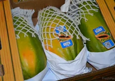 "Offer something that the retail does not!", is his motto. The merchant receives his products above the Dutch market, just as the Papaya from Brazil."