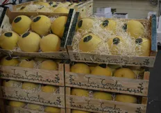 Hier zu sehen: La Comba Melonen aus Spanien.