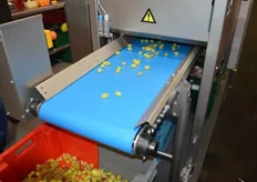 Auf der Anuga präsentierte die Firma auch ihre neue Maschine zur Traubensortierung.