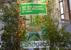 Landgard präsentierte in diesem Jahr erstmals die Obst & Gemüse-Version des bereits aus dem Bereich Blumen & Pflanzen bekannten Verkaufskonzeptes „Ich bin ein Star – holt mich hier raus“ mit RTL vor.