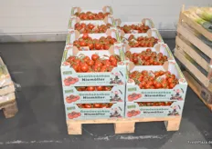 Prächtige Tomaten des Gemüsebaubetriebs Niemöller.