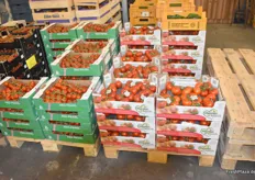 Tomaten und Fruchtgemüse werden zur Zeit zum wesentlichen Teil aus heimischen Gewächshäusern bezogen.