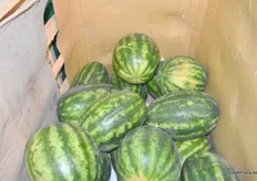 Wassermelonen im Lager der Meypa GmbH