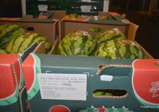 Die Melonensaison nimmt deutlich Fahrt auf, erzählt der Verkaufsleiter der Meypa GmbH