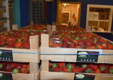 Erdbeeren aus regionaler Produktion
