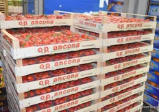 Italienische Erdbeeren verlieren aktuell an Bedeutung.