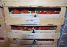 Clery-Erdbeeren aus Deutschland