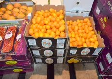 Kumquats aus Süd-Afrika