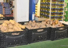 Kartoffeln im Lager des Obst und Gemüse Kontors