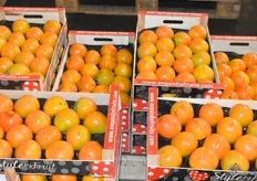 Am Großmarktstand des Schliecker Fruchthandels trafen vor knapp 2 Wochen die ersten Kakis aus Spanien ein. 