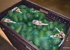 Genetzte Avocados für den europäischen LEH.