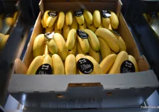 Mini-Bananen bzw. Bananitos der schweizer Marke Wisha.